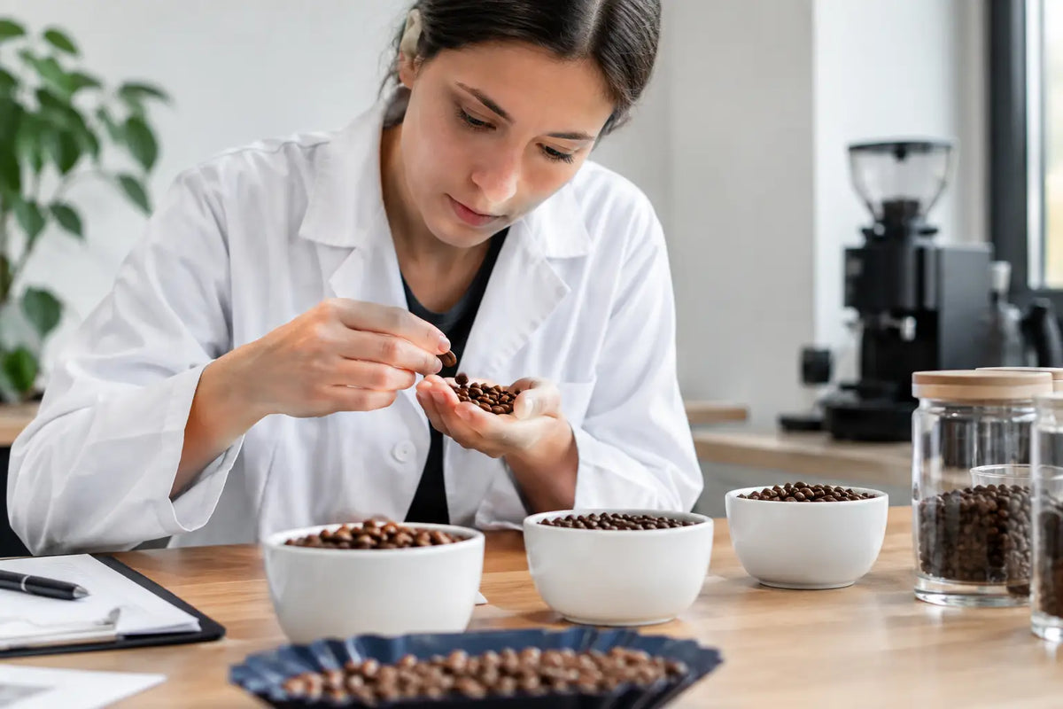 Chargenprüfung bei Specialty Coffee erklärt