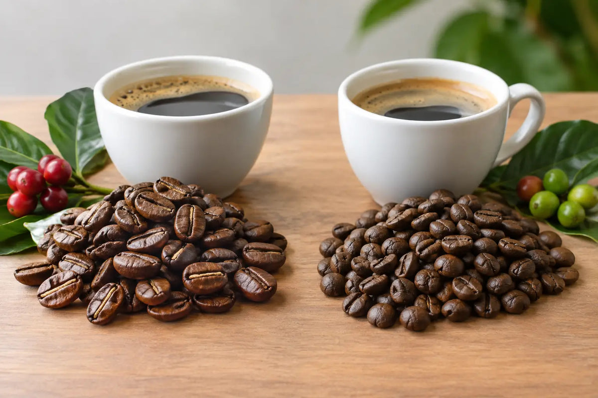 Arabica vs Robusta: Der Unterschied im Kaffee