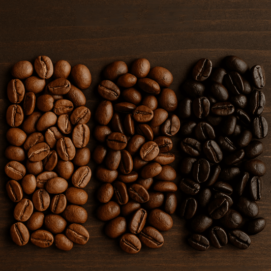 Drei Häufchen Kaffeebohnen mit unterschiedlichem Röstgrad – von hell (City) über mittel (Full City) bis dunkel (French Roast)