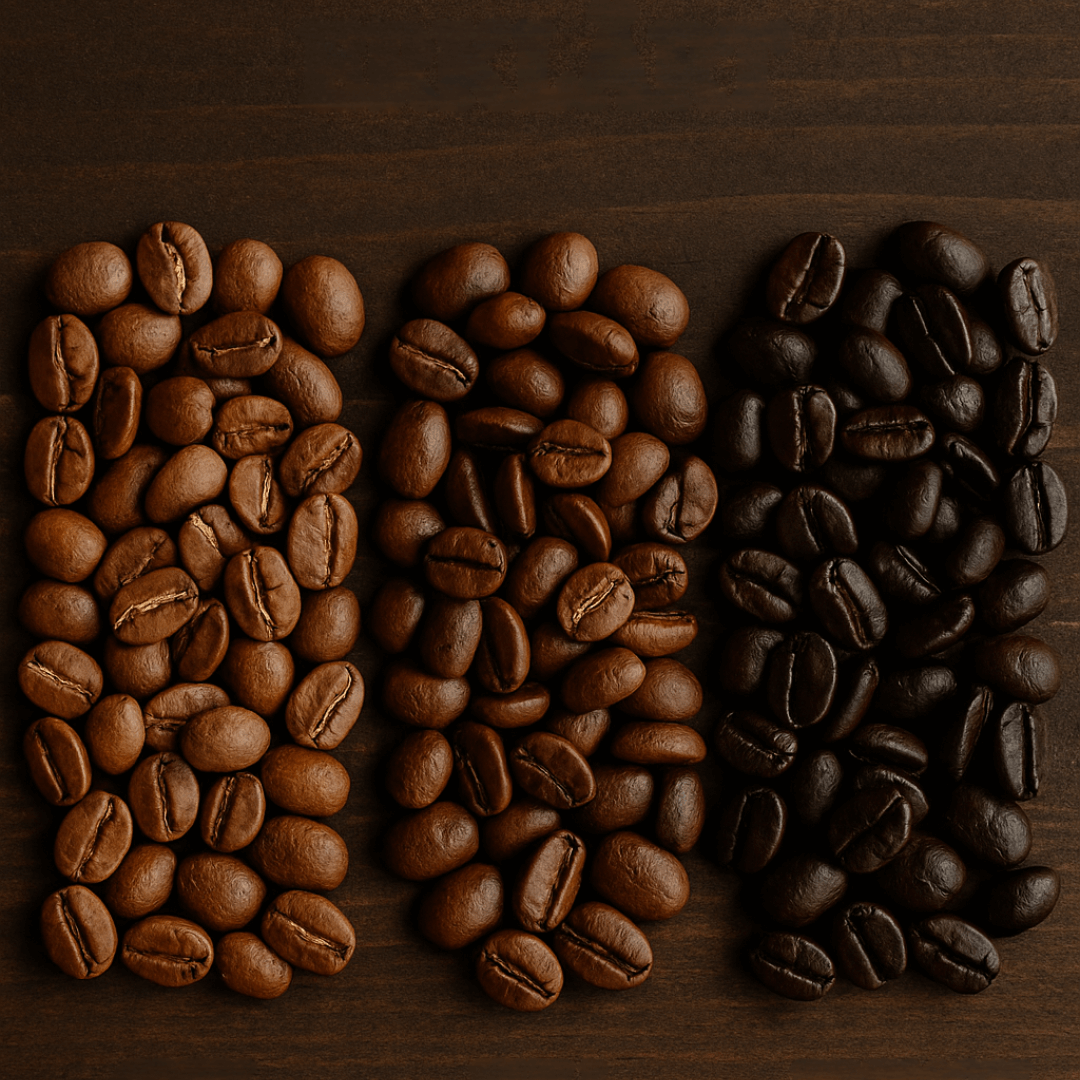 Drei Häufchen Kaffeebohnen mit unterschiedlichem Röstgrad – von hell (City) über mittel (Full City) bis dunkel (French Roast)
