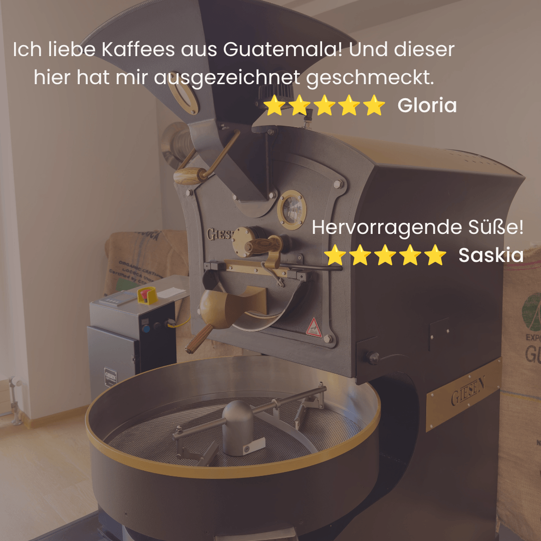 Goldgenuss - Eleganter Klassiker mit Tiefgang