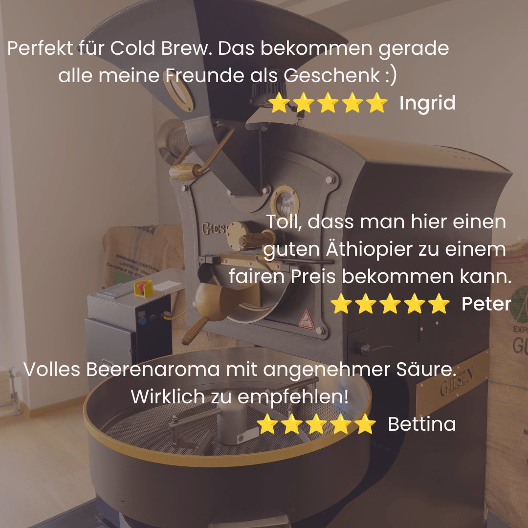 Sommertraum Filter - Blaubeere aus Äthiopien